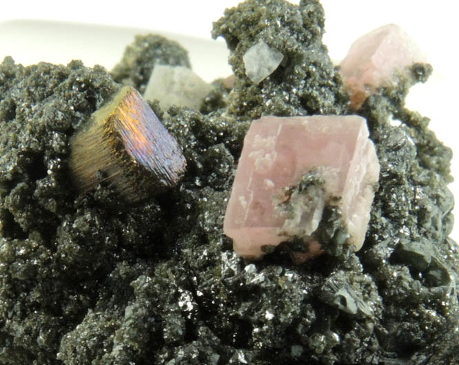 Rhodochrosite on Sphalerite with Pyrite from Eagle Mine, Gilman District, Eagle County, Colorado