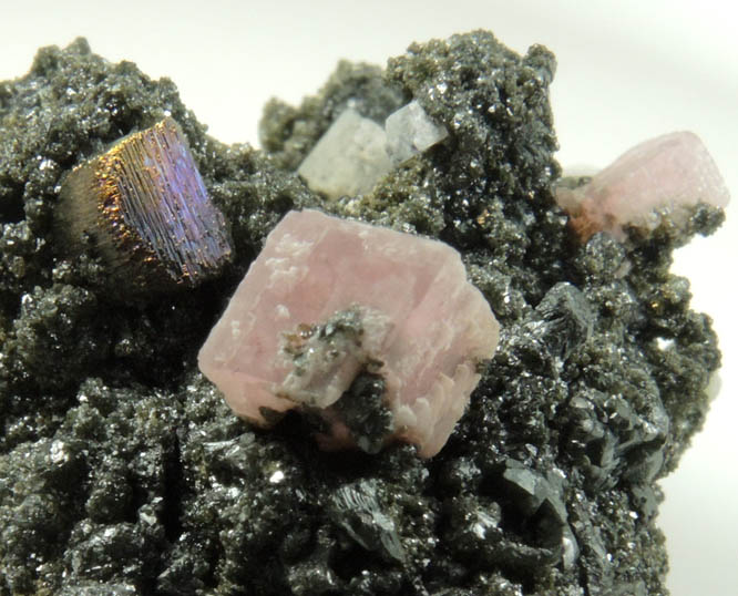 Rhodochrosite on Sphalerite with Pyrite from Eagle Mine, Gilman District, Eagle County, Colorado