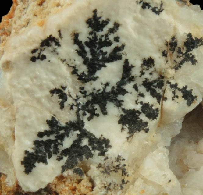 Quartz var. Chalcedony with Manganese-oxide dendrites from Blanchard Mine, Hansonburg District, 8.5 km south of Bingham, Socorro County, New Mexico