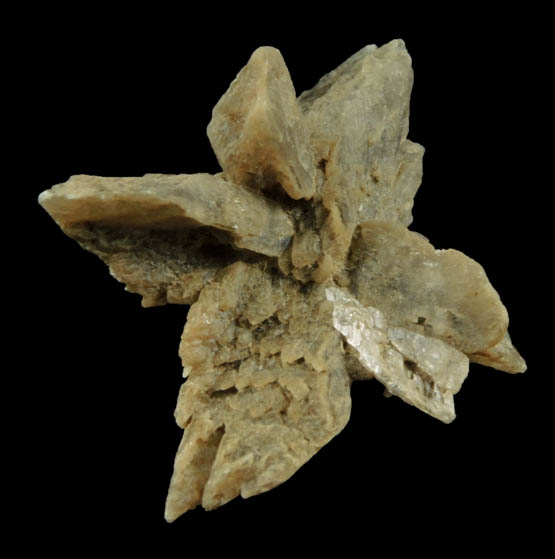 Gypsum var. Selenite from Clay Hill, north side of Route 209, Kerhonkson, Ulster County, New York