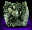 Prehnite, Pyrite, Calcite Julgoldite-Pumpellyite from O and G Industries Southbury Quarry, Southbury, New Haven County, Connecticut