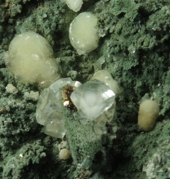 Prehnite, Pyrite, Calcite Julgoldite-Pumpellyite from O and G Industries Southbury Quarry, Southbury, New Haven County, Connecticut