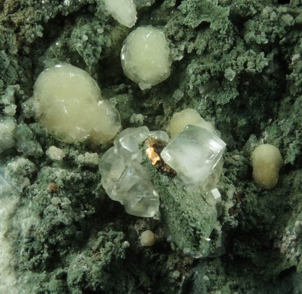 Prehnite, Pyrite, Calcite Julgoldite-Pumpellyite from O and G Industries Southbury Quarry, Southbury, New Haven County, Connecticut