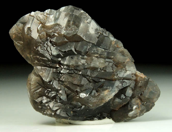 Quartz var. Smoky Quartz from Black and Blue prospect, Harris Park, Park County, Colorado