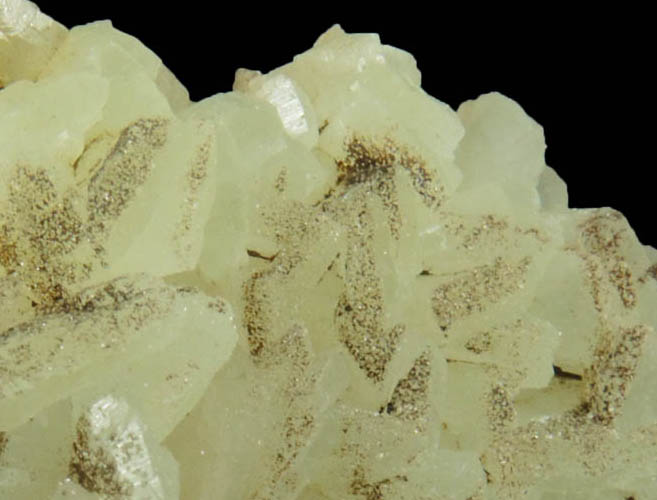 Prehnite (unusual distinct crystals) from Millington Quarry, Bernards Township, Somerset County, New Jersey