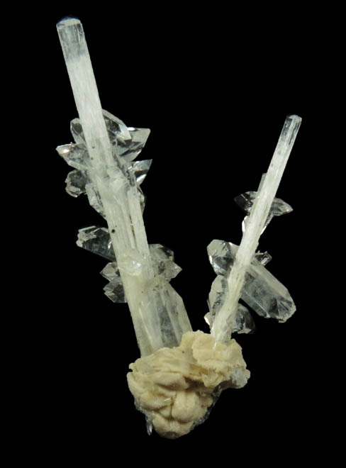 Apophyllite and Pyrite on Natrolite from Millington Quarry, Bernards Township, Somerset County, New Jersey