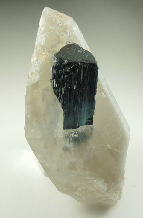 Elbaite var. Indicolite Tourmaline in Quartz from Paprok, Kamdesh District, Nuristan Province, Afghanistan