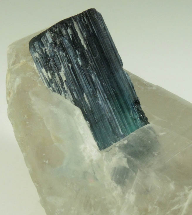 Elbaite var. Indicolite Tourmaline in Quartz from Paprok, Kamdesh District, Nuristan Province, Afghanistan