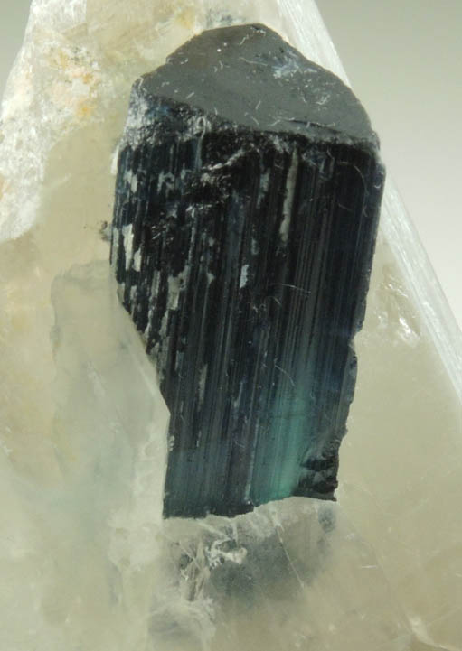 Elbaite var. Indicolite Tourmaline in Quartz from Paprok, Kamdesh District, Nuristan Province, Afghanistan