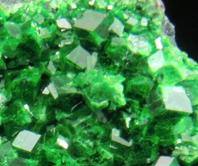 Uvarovite Garnet from Saranovskoye Mine, Sarany, Permskaya Oblast', Ural Mountains, Russia (Type Locality for Uvarovite)