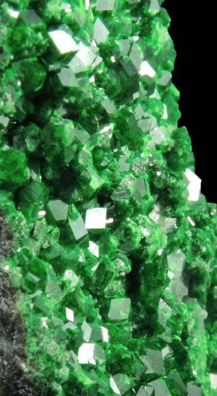 Uvarovite Garnet from Saranovskoye Mine, Sarany, Permskaya Oblast', Ural Mountains, Russia (Type Locality for Uvarovite)