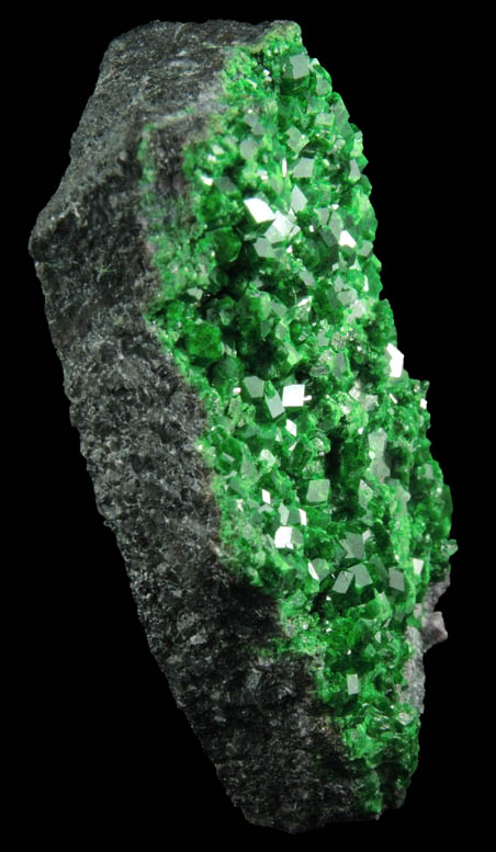 Uvarovite Garnet from Saranovskoye Mine, Sarany, Permskaya Oblast', Ural Mountains, Russia (Type Locality for Uvarovite)