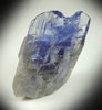 Tanzanite Crystal (blue gem variety of the mineral Zoisite) from Merelani Hills, western slope of Lelatama Mountains, Arusha Region, Tanzania (Type Locality for Tanzanite)