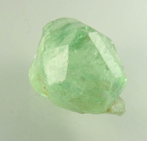 Grossular var. Tsavorite Garnet from Merelani Hills, near Arusha, Tanzania