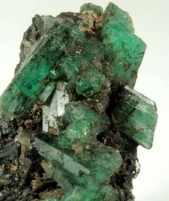 Beryl var. Emerald from Herat-Panjsher Fault, southeastern slope of the Panjshir River, Buzmal-Khenj area, Panjshir Province, Afghanistan