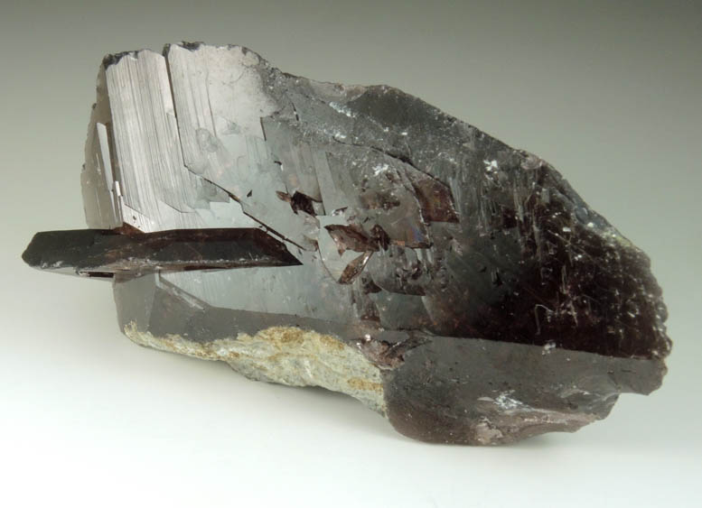 Axinite-(Fe) from Khapalu, Ghanche District, Gilgit-Baltistan, Pakistan