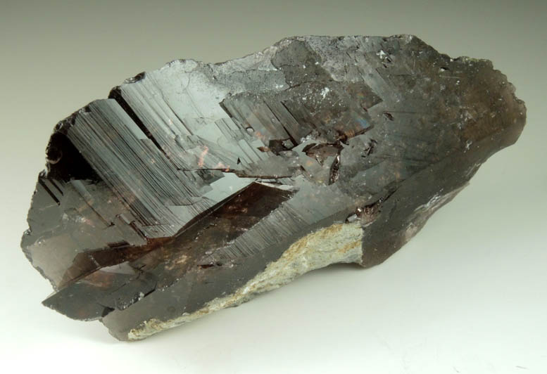 Axinite-(Fe) from Khapalu, Ghanche District, Gilgit-Baltistan, Pakistan