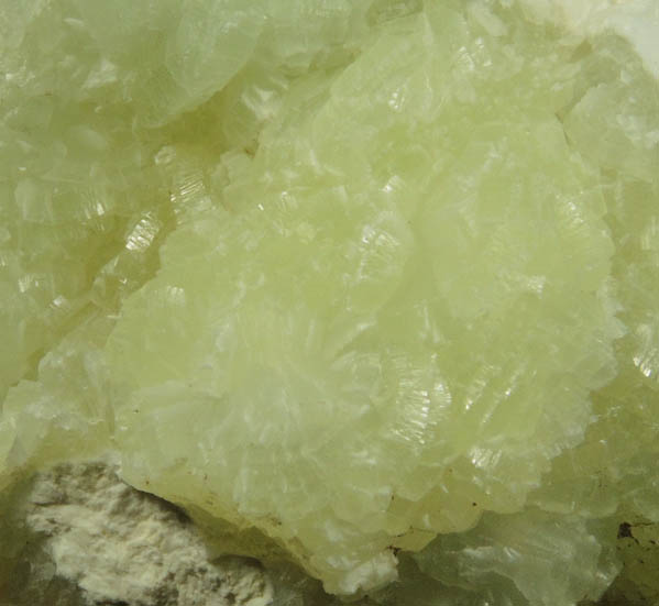 Prehnite from Millington Quarry, Bernards Township, Somerset County, New Jersey