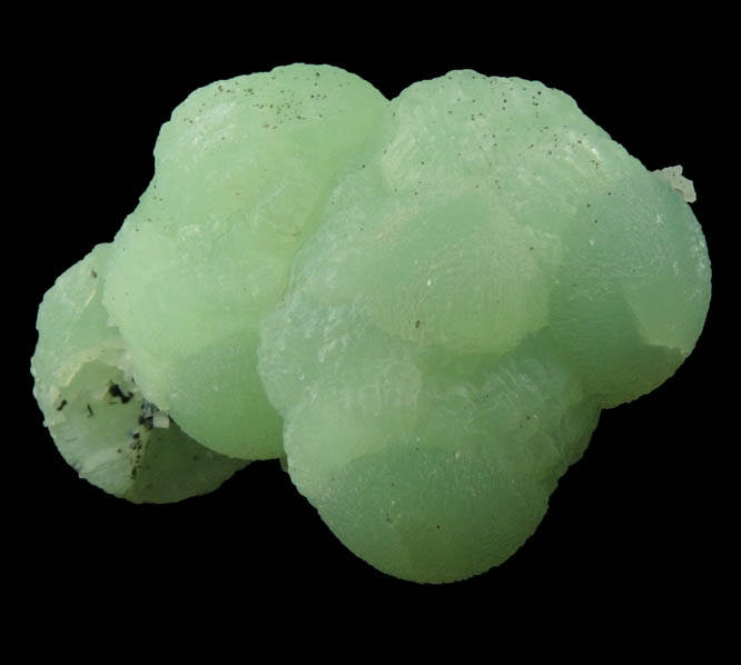 Prehnite with pseudomorphic molds after Calcite-Anhydrite from Millington Quarry, Bernards Township, Somerset County, New Jersey