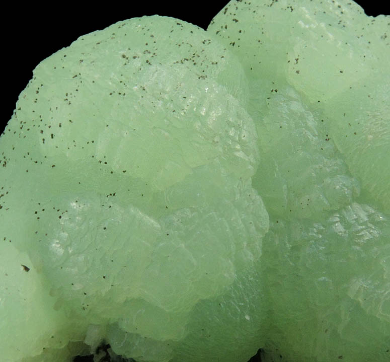 Prehnite with pseudomorphic molds after Calcite-Anhydrite from Millington Quarry, Bernards Township, Somerset County, New Jersey