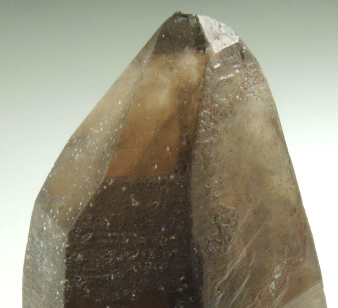 Quartz var. Smoky Quartz Dauphin Law Twin from Lake George District, Park County, Colorado