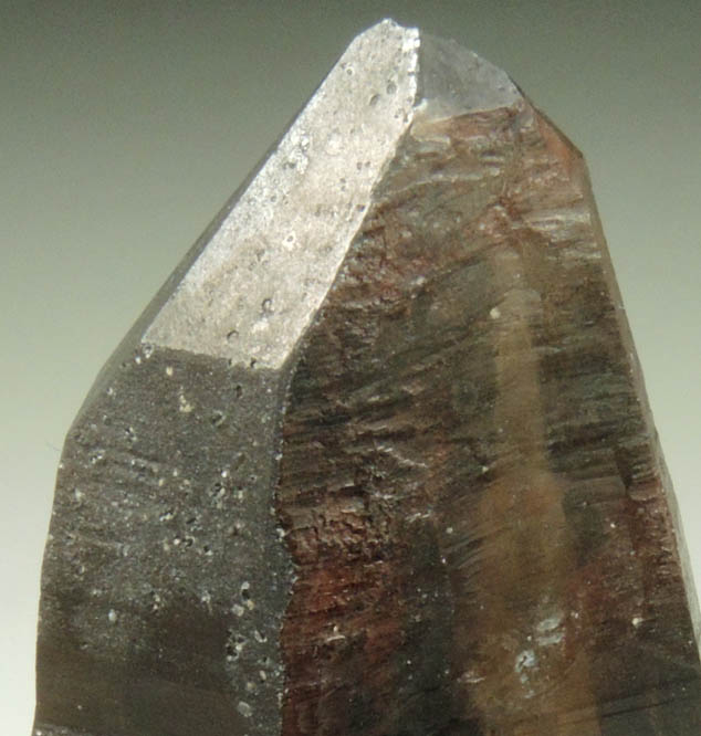 Quartz var. Smoky Quartz Dauphin Law Twin from Lake George District, Park County, Colorado