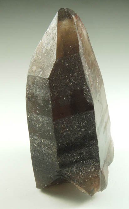 Quartz var. Smoky Quartz Dauphin Law Twin from Lake George District, Park County, Colorado