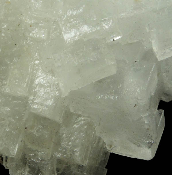 Halite from Searles Lake, east of Trona, San Bernardino County, California