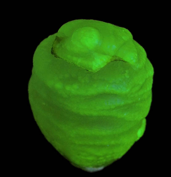 Quartz var. Chalcedony (fluorescent) from Saddle Mountain, Maricopa County, Arizona