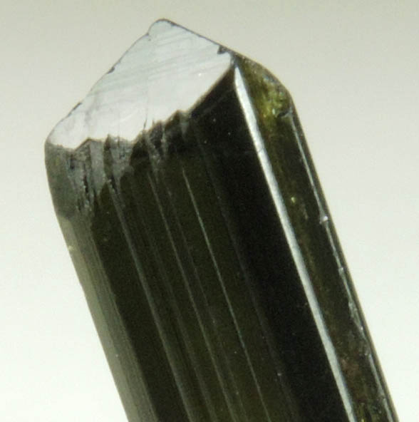 Elbaite Tourmaline from Minas Gerais, Brazil