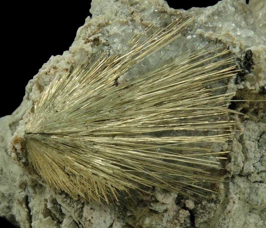 Millerite from Estabrook Park, Milwaukee, Milwaukee County, Wisconsin