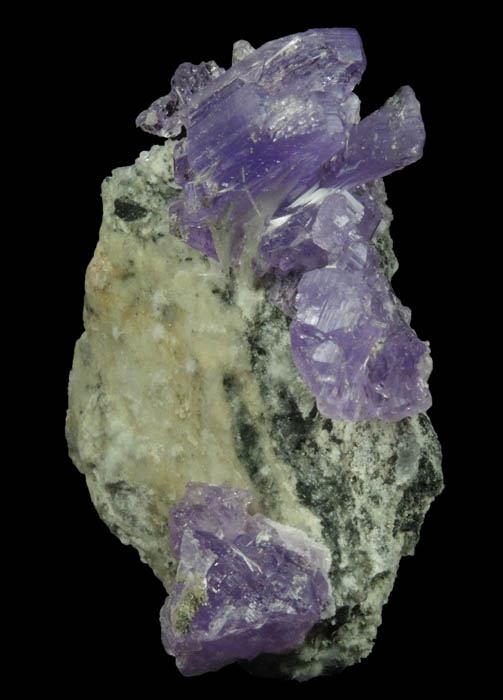 Coquimbite and Halotrichite from Monte Arsiccio Mine, Stazzema, Lucca, Italy