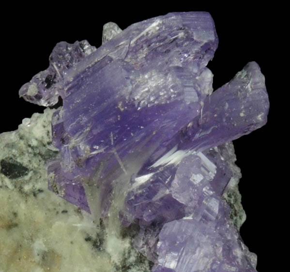 Coquimbite and Halotrichite from Monte Arsiccio Mine, Stazzema, Lucca, Italy