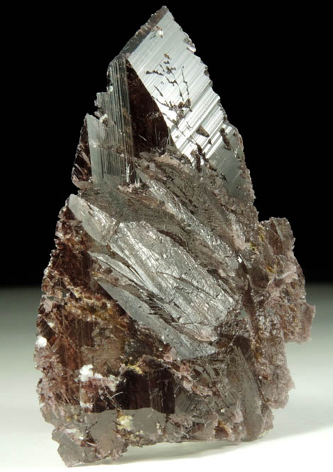 Axinite-(Fe) from Frano, near Khapalu, Ghanche District, Gilgit-Baltistan, Pakistan