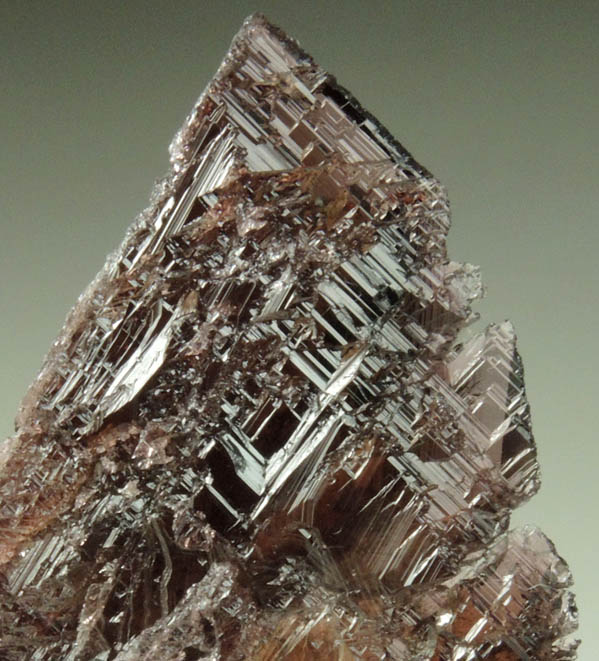 Axinite-(Fe) from Frano, near Khapalu, Ghanche District, Gilgit-Baltistan, Pakistan