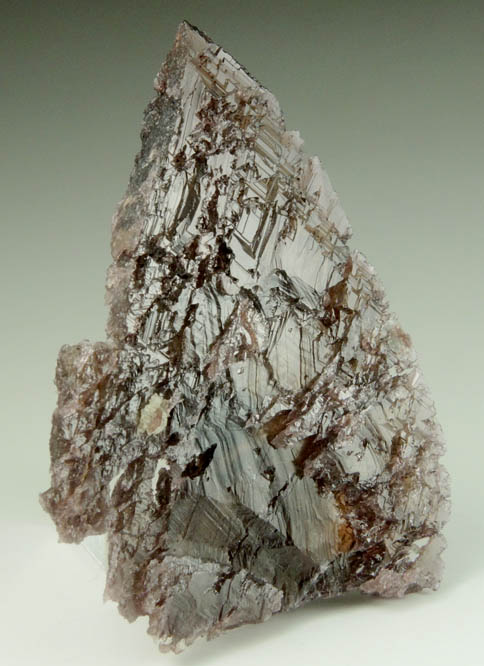 Axinite-(Fe) from Frano, near Khapalu, Ghanche District, Gilgit-Baltistan, Pakistan