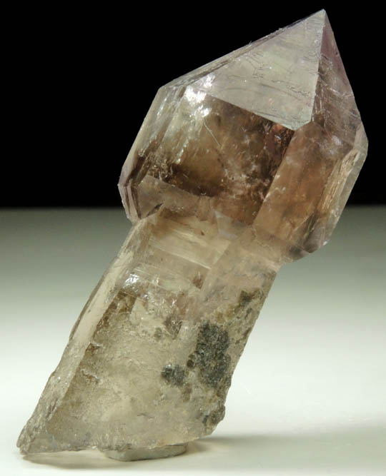 Quartz var. Smoky-Amethyst Scepter from Crystal Park, Beaverhead County, Montana