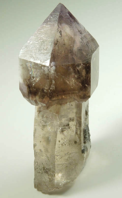 Quartz var. Smoky-Amethyst Scepter from Crystal Park, Beaverhead County, Montana