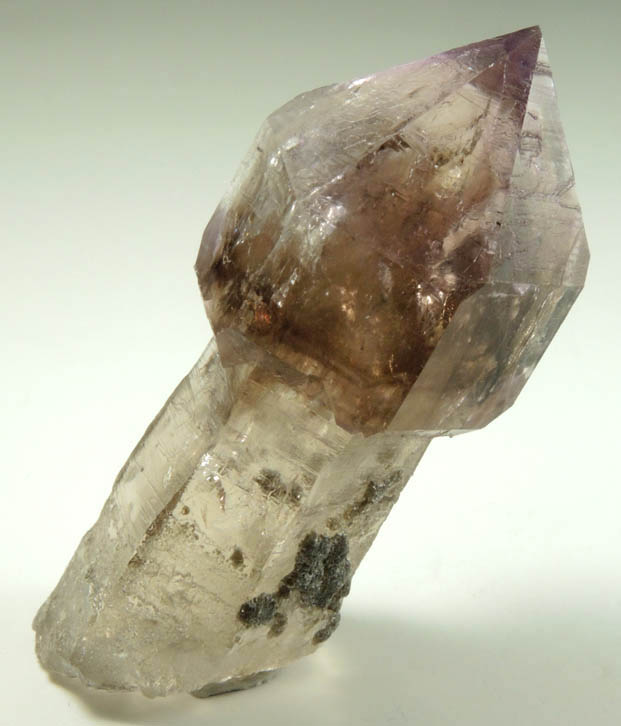 Quartz var. Smoky-Amethyst Scepter from Crystal Park, Beaverhead County, Montana