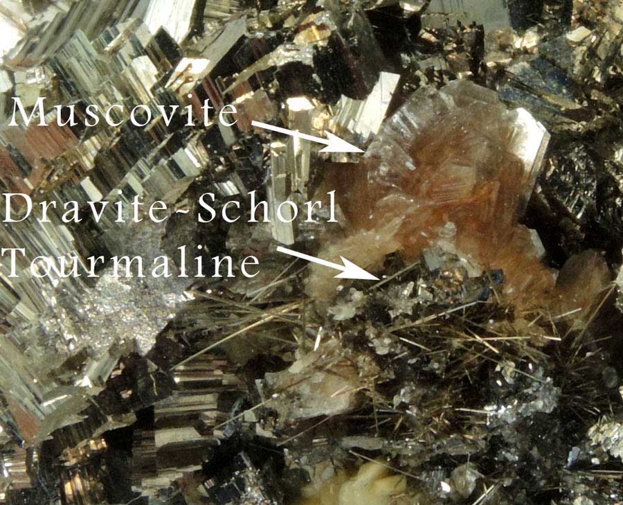 Arsenopyrite, Dravite-Schorl Tourmaline, Muscovite from Panasqueira Mine, Barroca Grande, 21 km. west of Fundao, Castelo Branco, Portugal