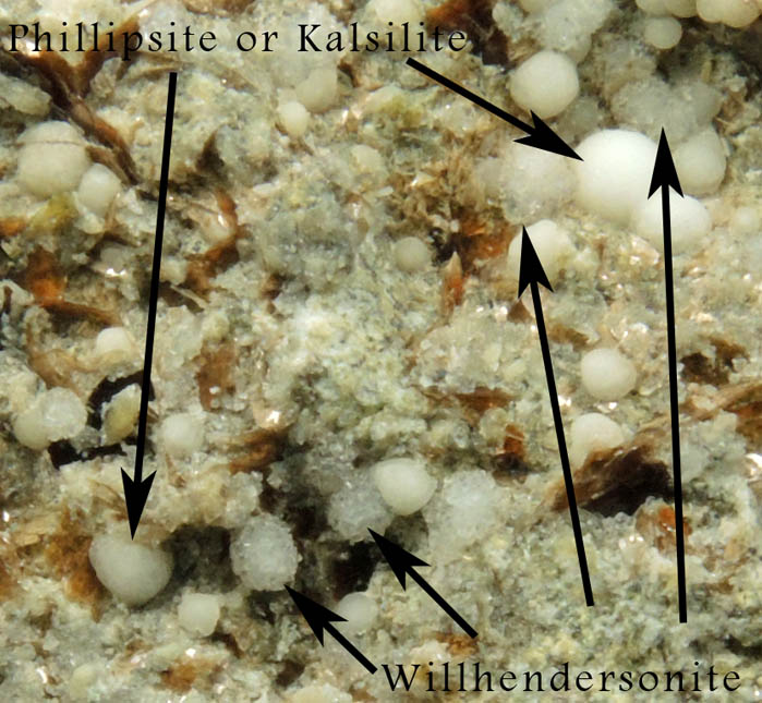 Willhendersonite, Phillipsite-Kalsilite, Fluorophlogopite from Vispi Quarry  (Cava di San Venano), Terni, Umbria, Italy (Type Locality for Willhendersonite)