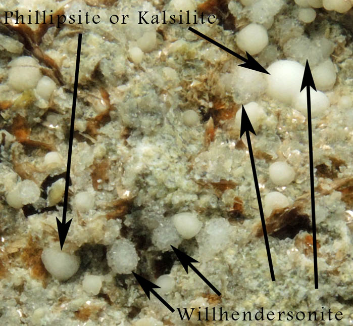 Willhendersonite, Phillipsite-Kalsilite, Fluorophlogopite from Vispi Quarry (Cava di San Venano), Terni, Umbria, Italy (Type Locality for Willhendersonite)