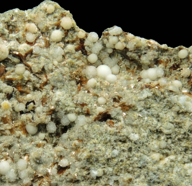 Willhendersonite, Phillipsite-Kalsilite, Fluorophlogopite from Vispi Quarry  (Cava di San Venano), Terni, Umbria, Italy (Type Locality for Willhendersonite)