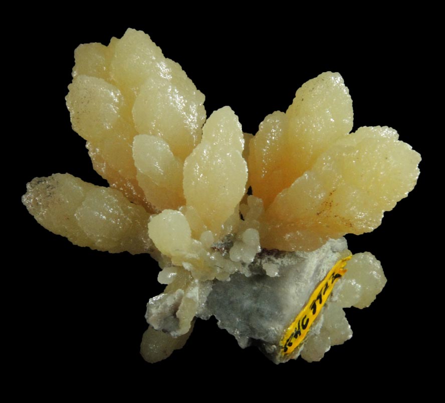 Mimetite from Tsumeb Mine, Otavi-Bergland District, Oshikoto, Namibia