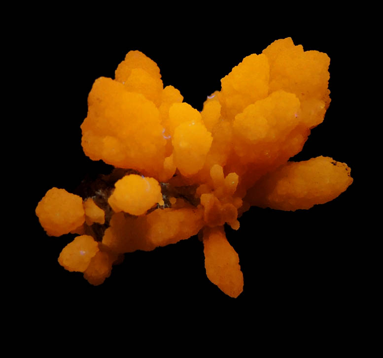 Photo below under longwave ultraviolet illumination of Mimetite from Tsumeb Mine, Otavi-Bergland District, Oshikoto, Namibia Mimetite from Tsumeb Mine, Otavi-Bergland District, Oshikoto, Namibia