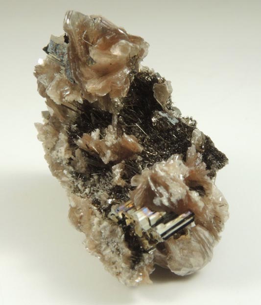 Dravite-Schorl Tourmaline and Muscovite with Arsenopyrite from Panasqueira Mine, Barroca Grande, 21 km. west of Fundao, Castelo Branco, Portugal