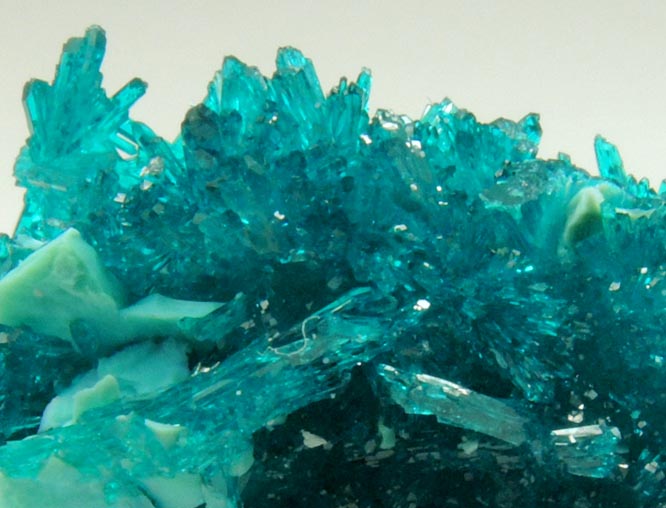 Dioptase from Milpillas Mine, Cuitaca, Sonora, Mexico