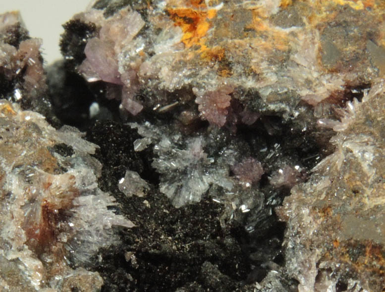 Strengite, Cacoxenite, Dufrenite-Kidwellite, Goethite-Hematite from Indian Mountain, Cherokee County, Alabama