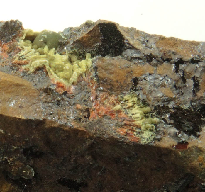 Dufrenite-Kidwellite, Eleonorite, Goethite-Hematite from Indian Mountain, Cherokee County, Alabama