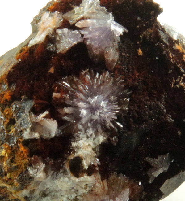 Strengite, Cacoxenite, Dufrenite-Kidwellite, Goethite-Hematite from Indian Mountain, Cherokee County, Alabama